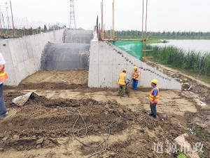 泰兴市东郊森林公园16#揽月桥工程
