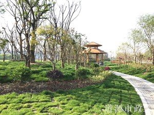 滨江工业园区-通扬路